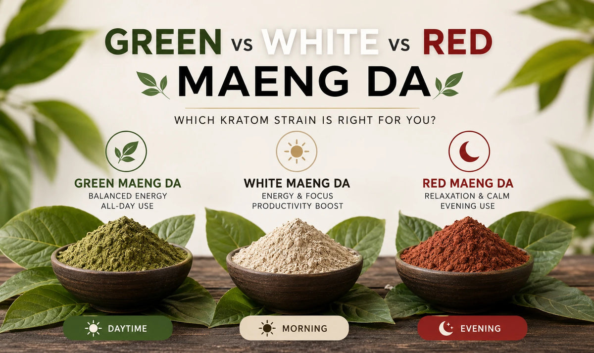 Green vs White vs Red Maeng Da: Best Kratom Strain for Energy, Focus & Relaxation